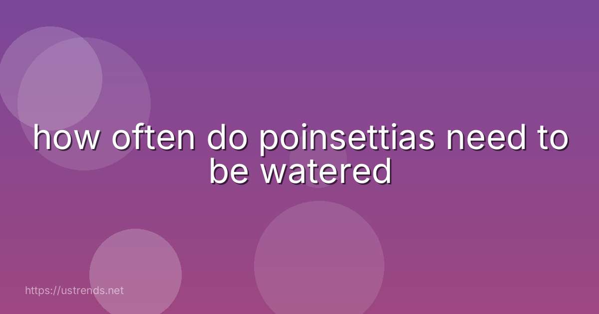 how often do poinsettias need to be watered