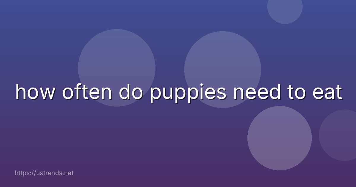 how often do puppies need to eat