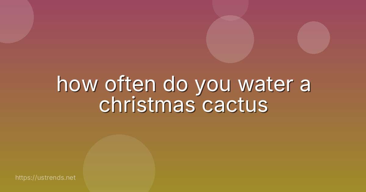 how often do you water a christmas cactus