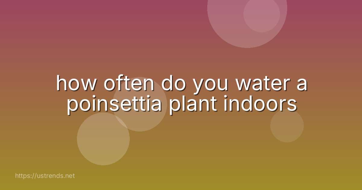 how often do you water a poinsettia plant indoors