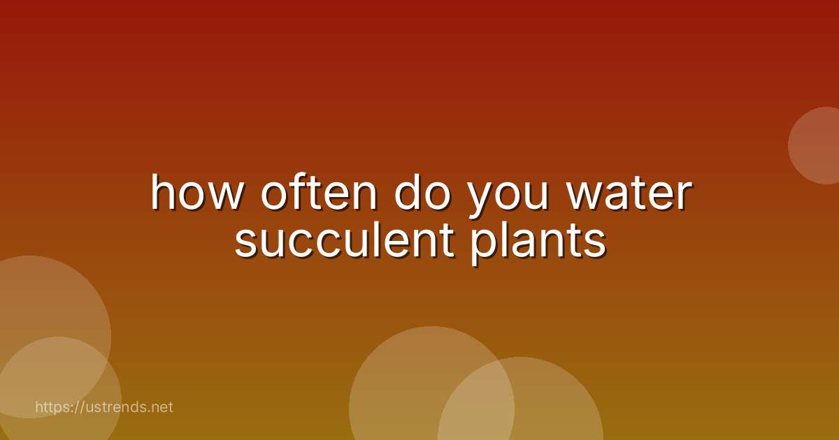 how often do you water succulent plants
