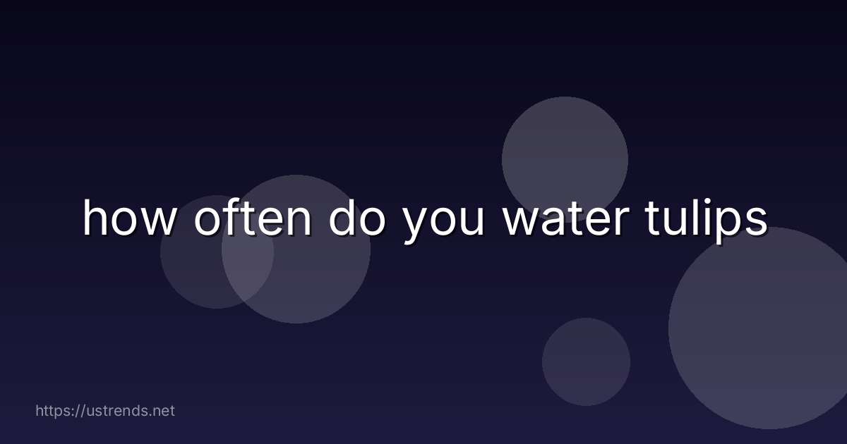 how often do you water tulips