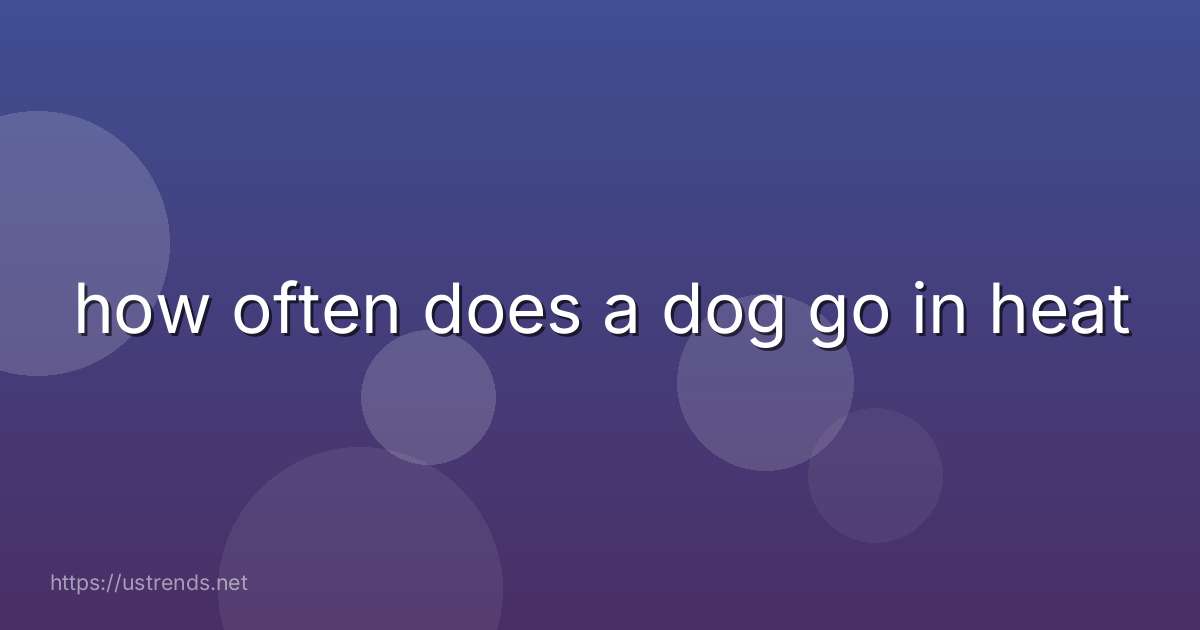 how often does a dog go in heat