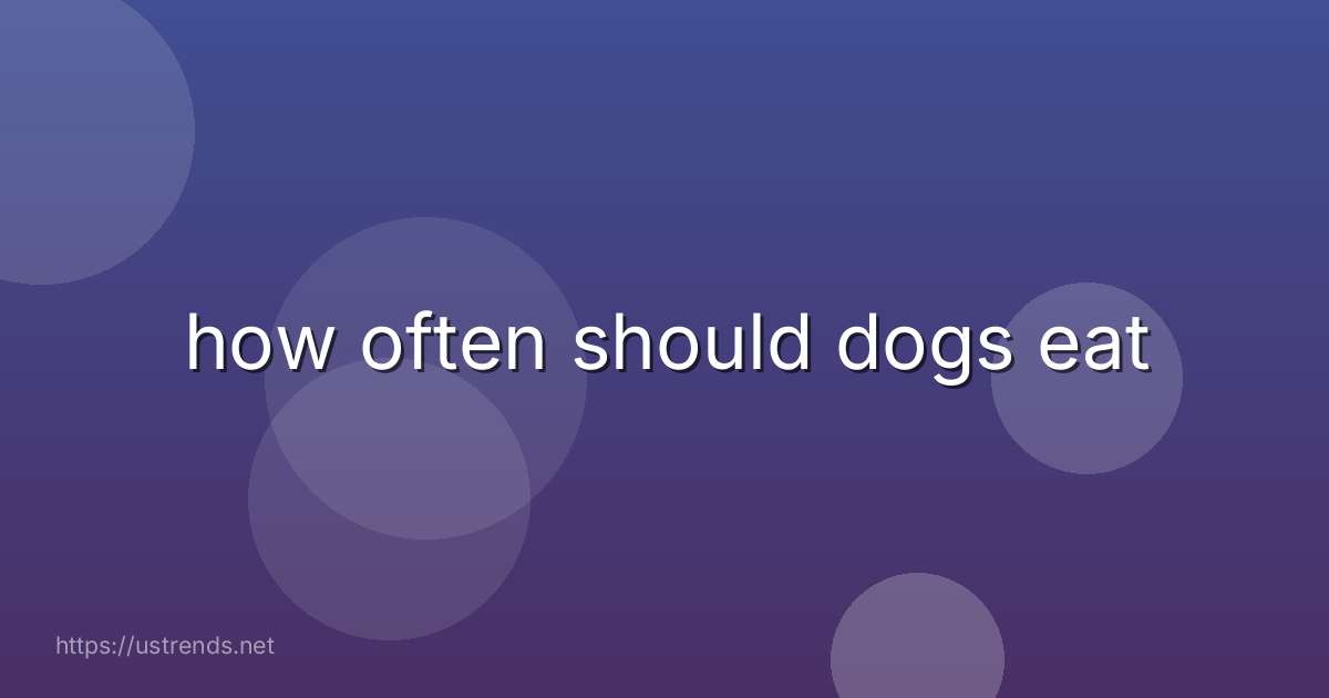 how often should dogs eat