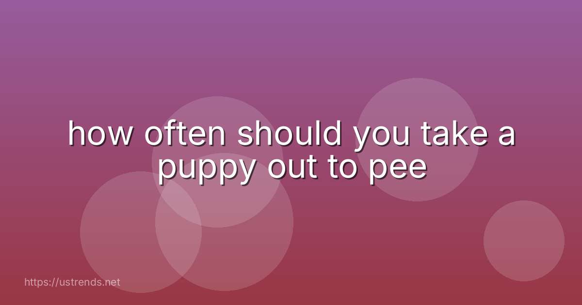 how often should you take a puppy out to pee