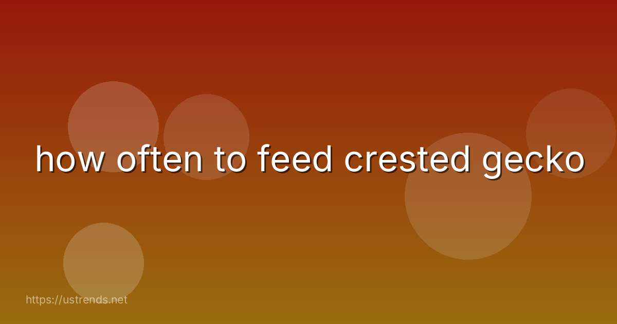 how often to feed crested gecko