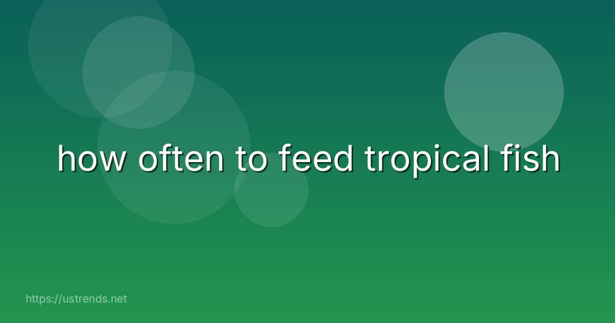 how often to feed tropical fish