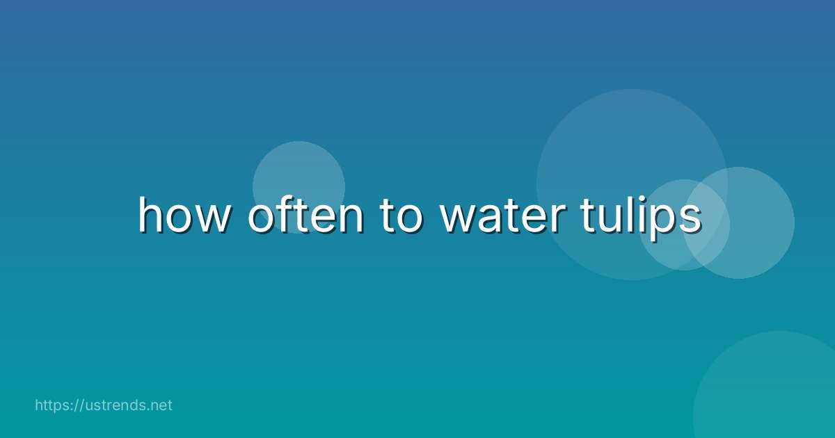 how often to water tulips