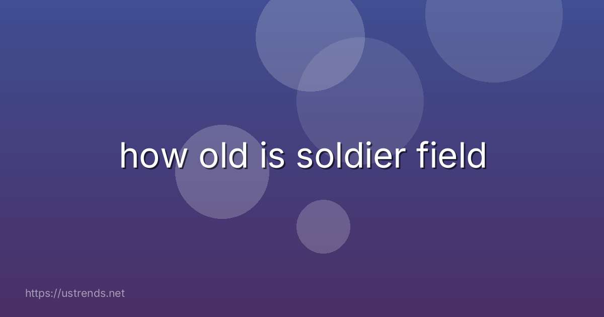 how old is soldier field