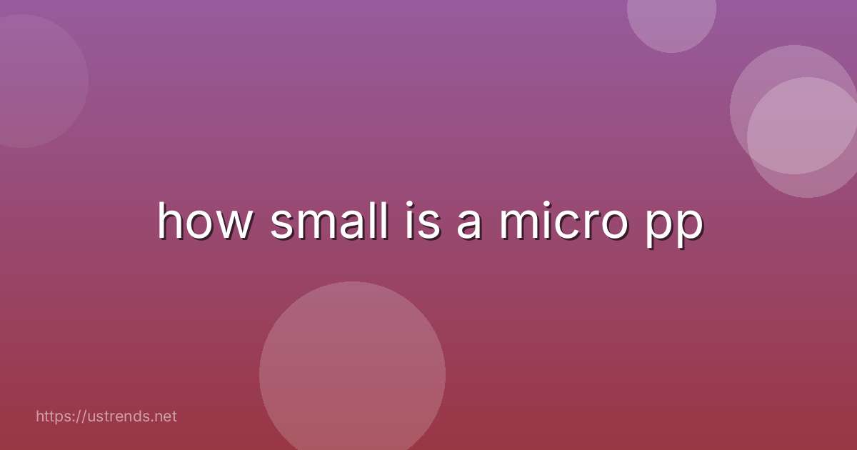 how small is a micro pp