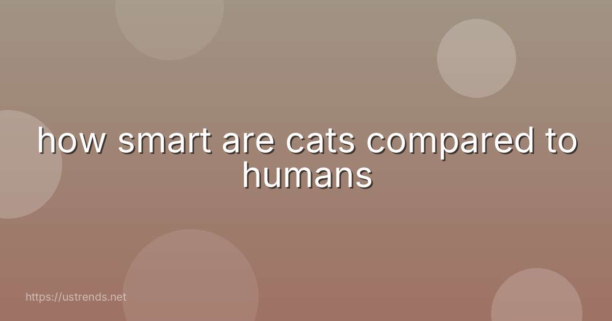 how smart are cats compared to humans