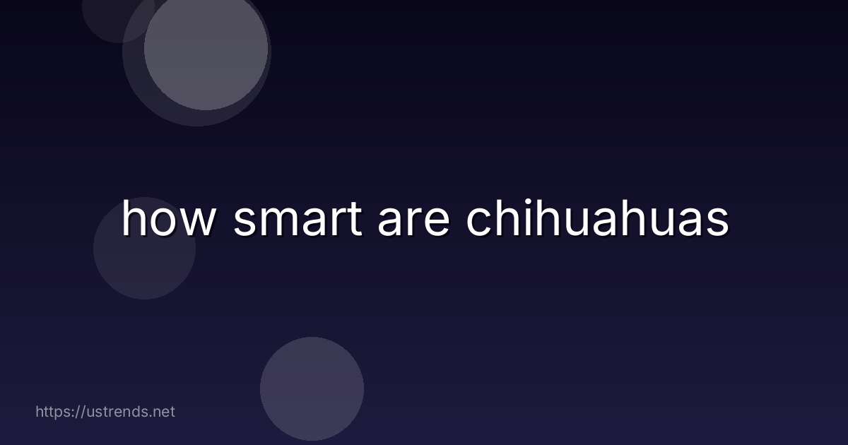 how smart are chihuahuas