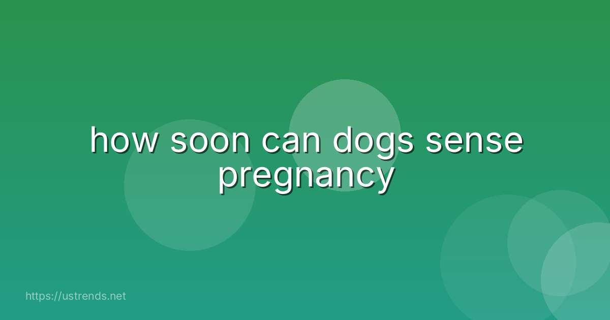 how soon can dogs sense pregnancy