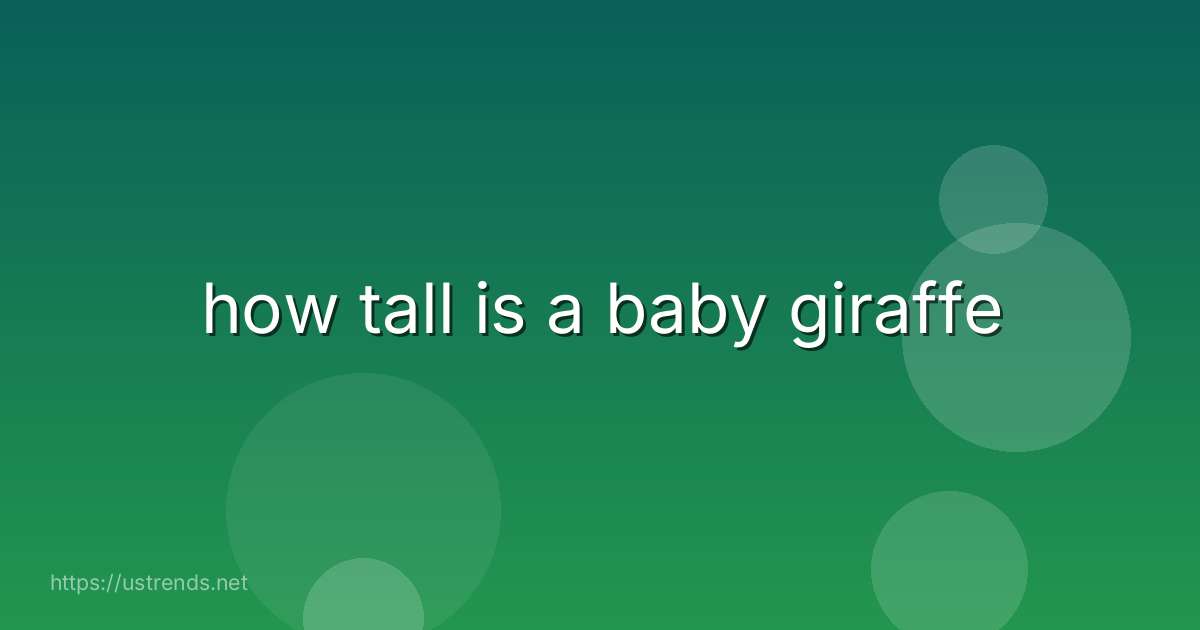 how tall is a baby giraffe