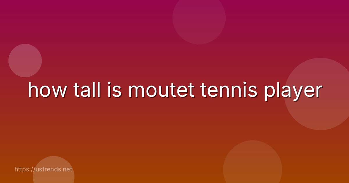 how tall is moutet tennis player