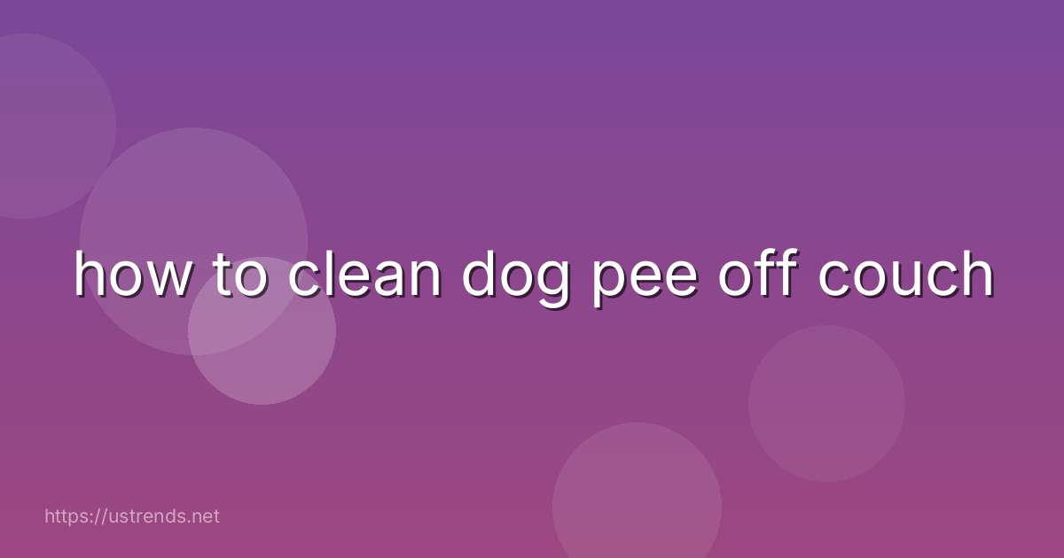 how to clean dog pee off couch