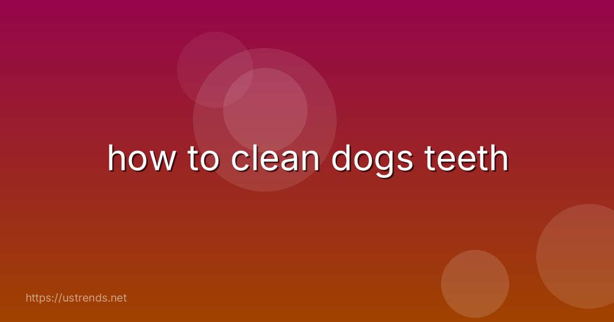 how to clean dogs teeth