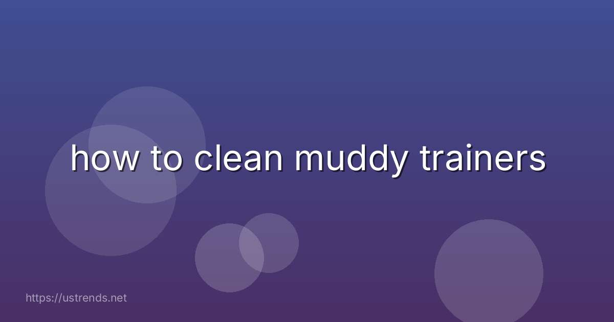 how to clean muddy trainers
