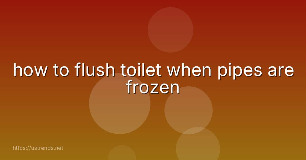 how to flush toilet when pipes are frozen