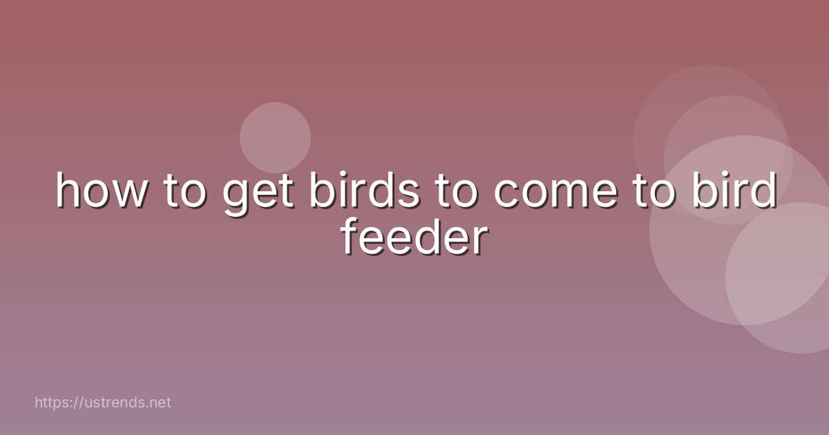 how to get birds to come to bird feeder