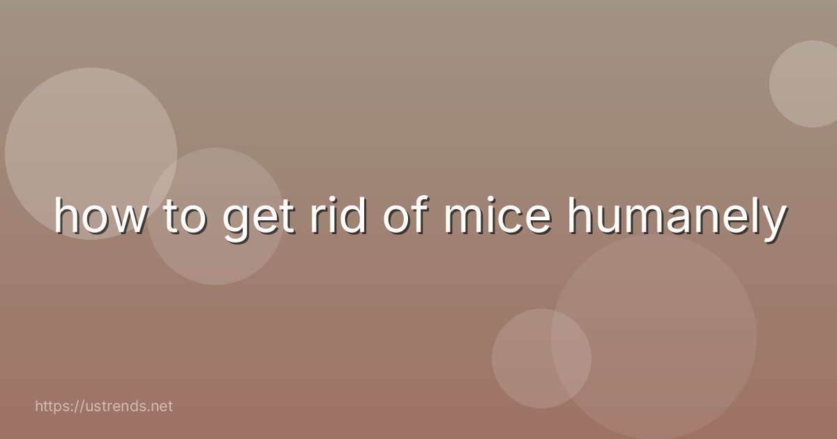 how to get rid of mice humanely