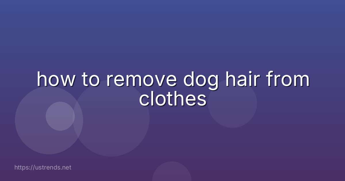 how to remove dog hair from clothes