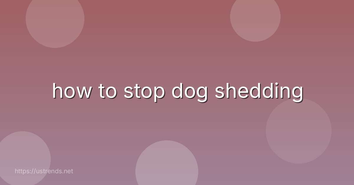 how to stop dog shedding