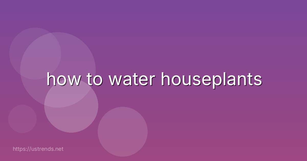 how to water houseplants