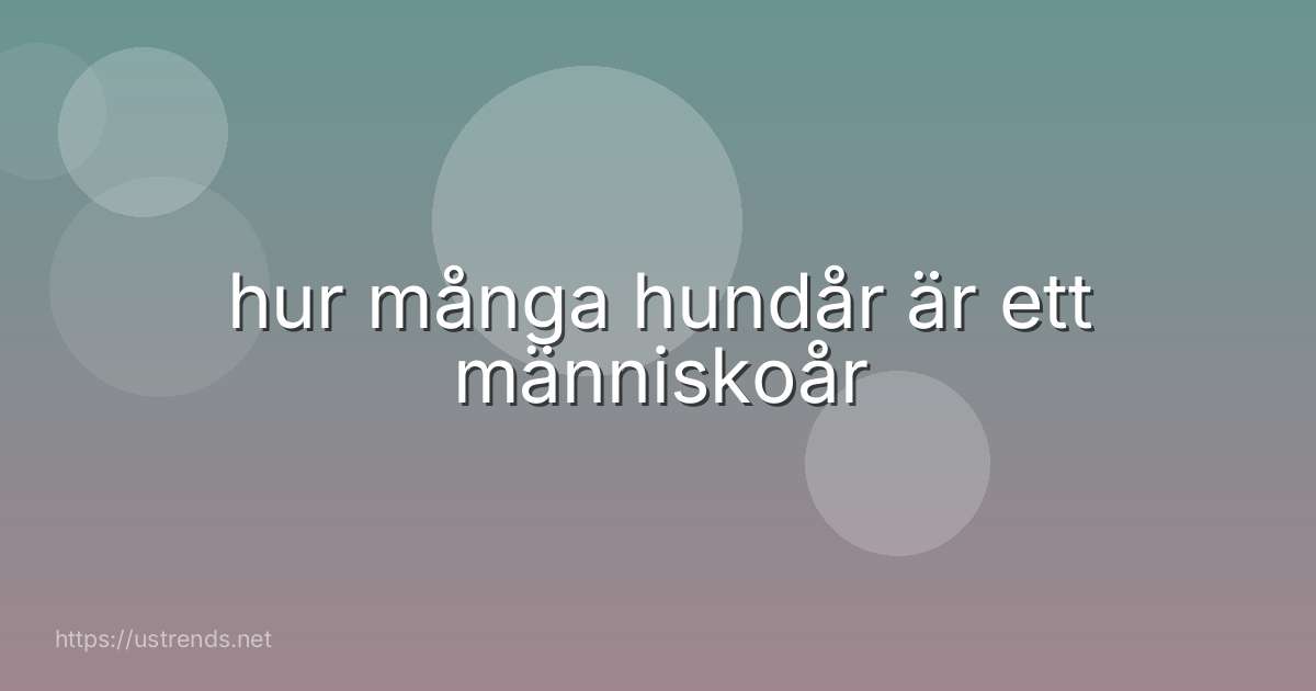 hur många hundår är ett människoår