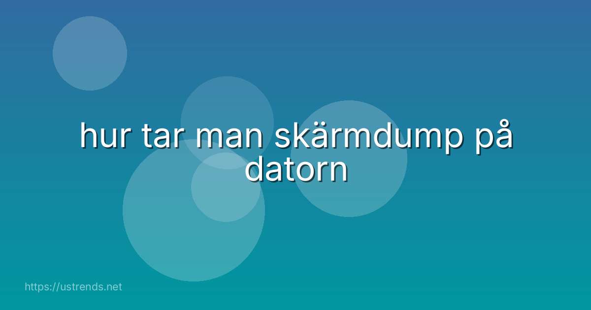 hur tar man skärmdump på datorn