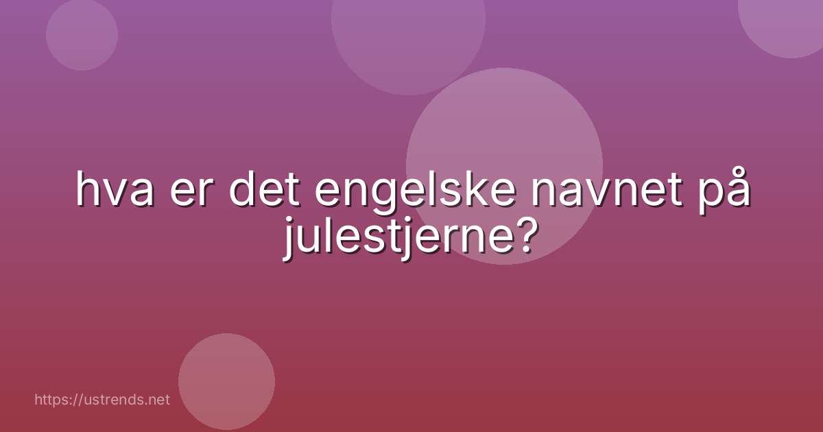 hva er det engelske navnet på julestjerne?
