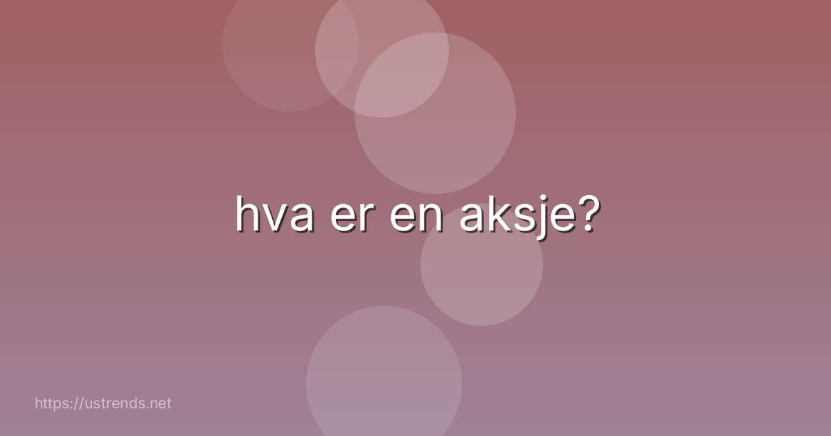 hva er en aksje?