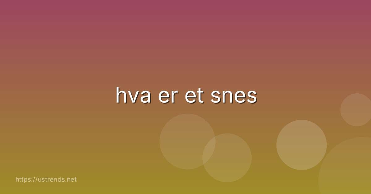 hva er et snes