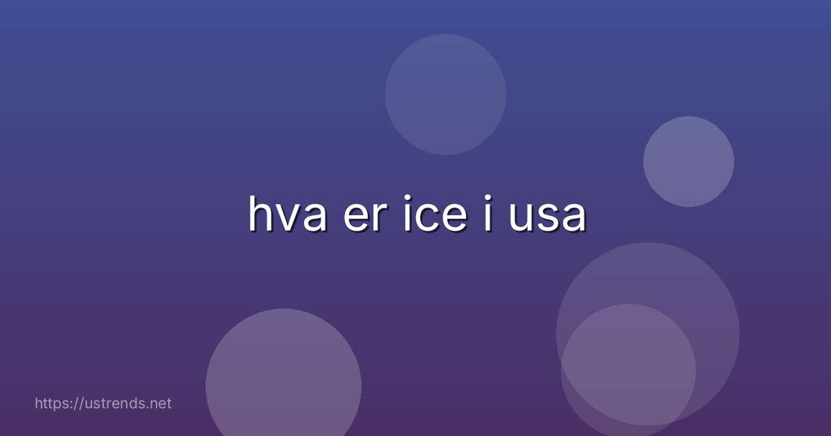 hva er ice i usa