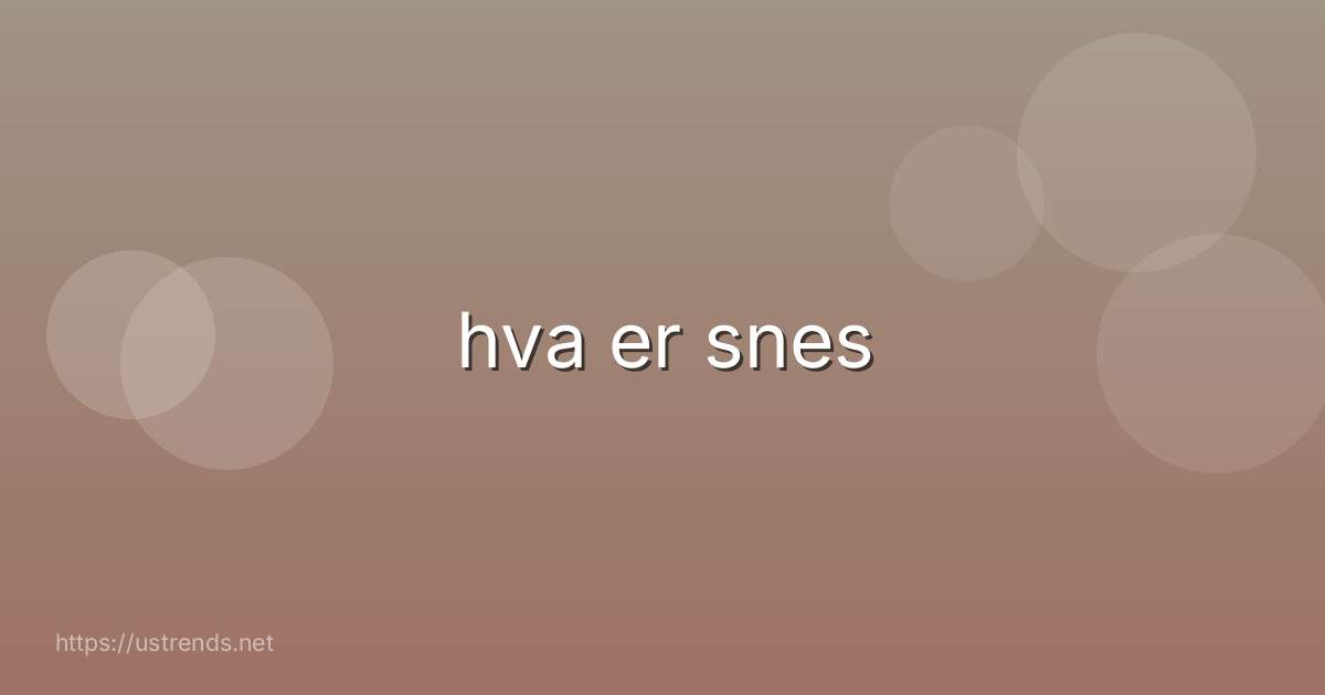 hva er snes