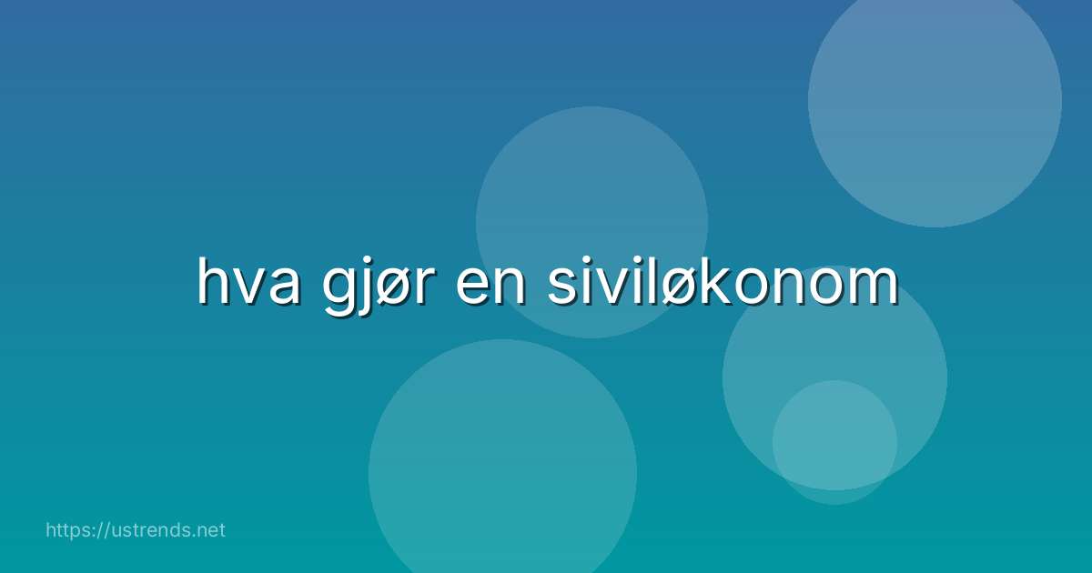 hva gjør en siviløkonom