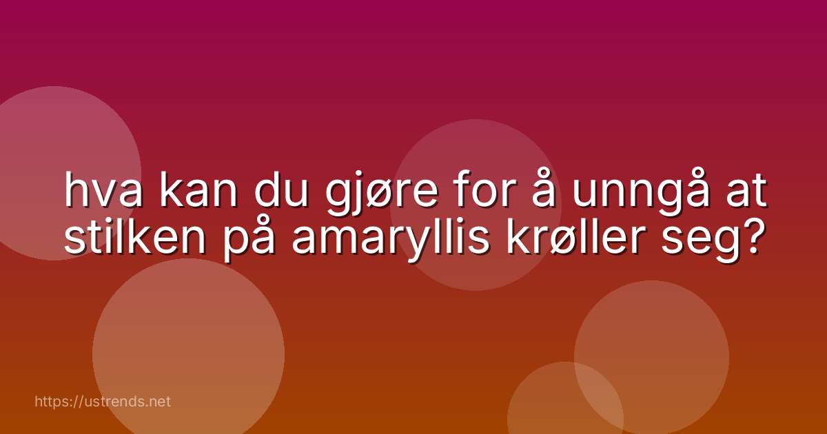 hva kan du gjøre for å unngå at stilken på amaryllis krøller seg?