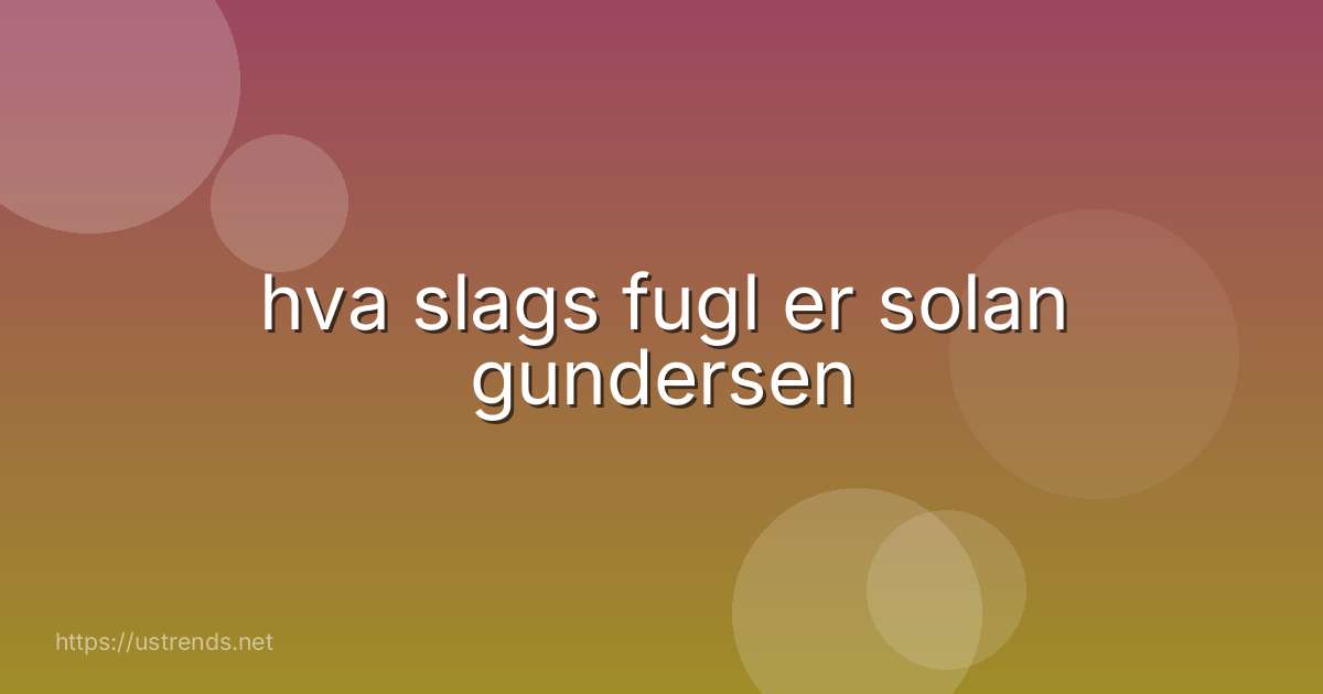 hva slags fugl er solan gundersen