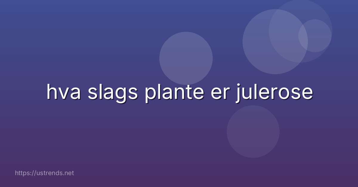 hva slags plante er julerose