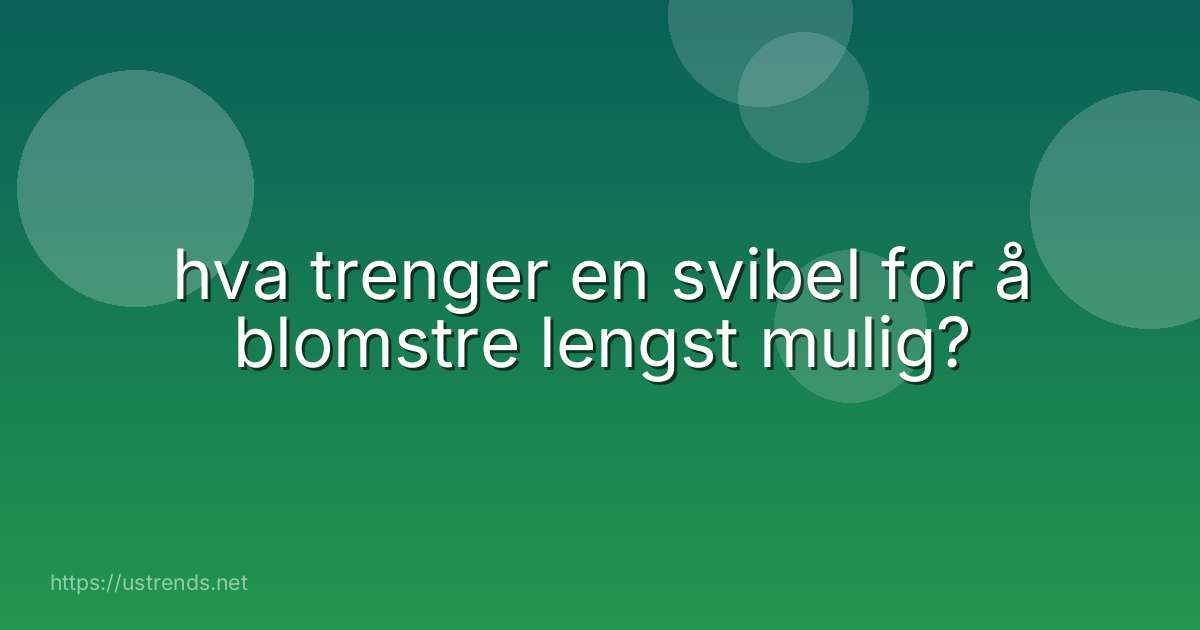 hva trenger en svibel for å blomstre lengst mulig?