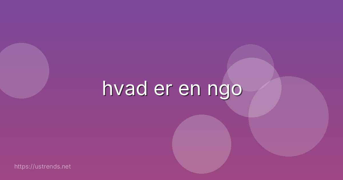 hvad er en ngo