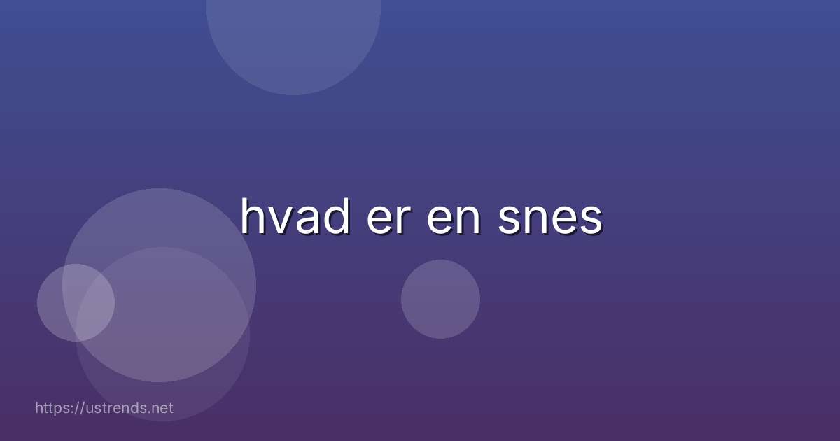 hvad er en snes