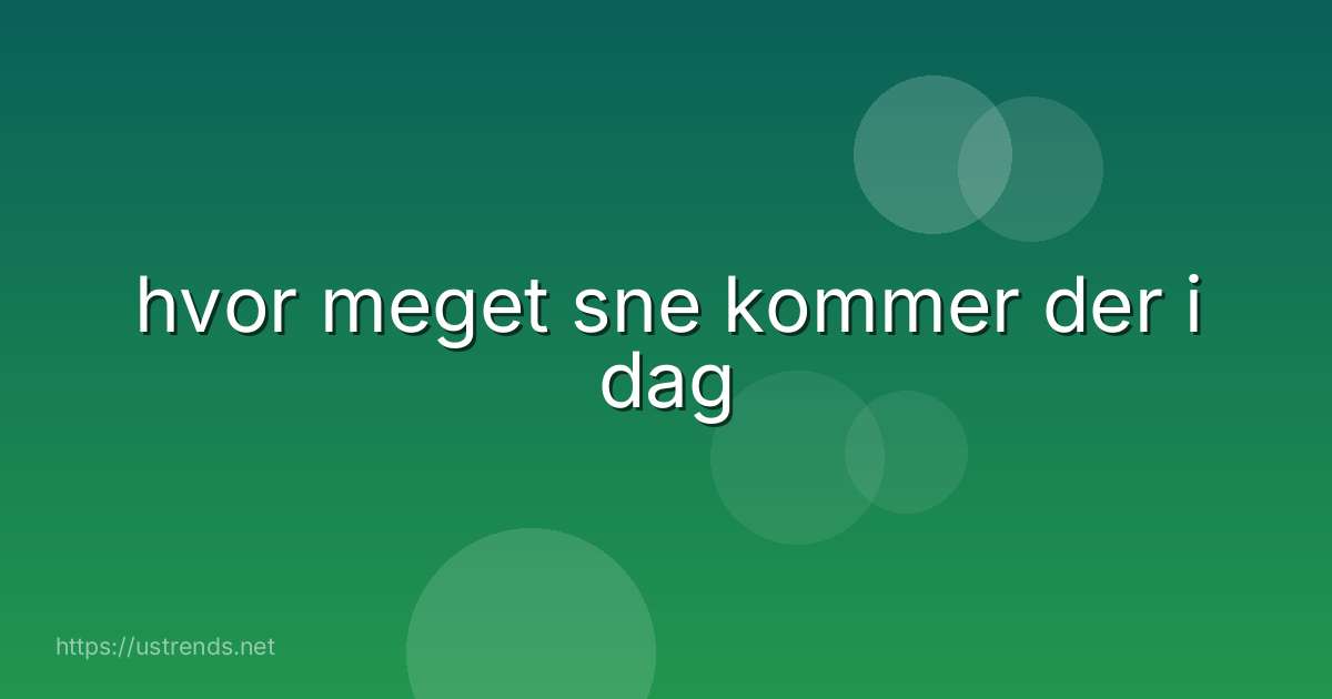 hvor meget sne kommer der i dag