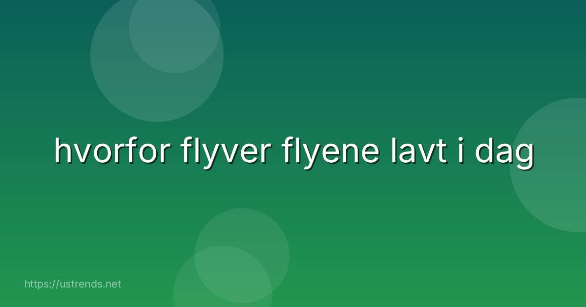 hvorfor flyver flyene lavt i dag