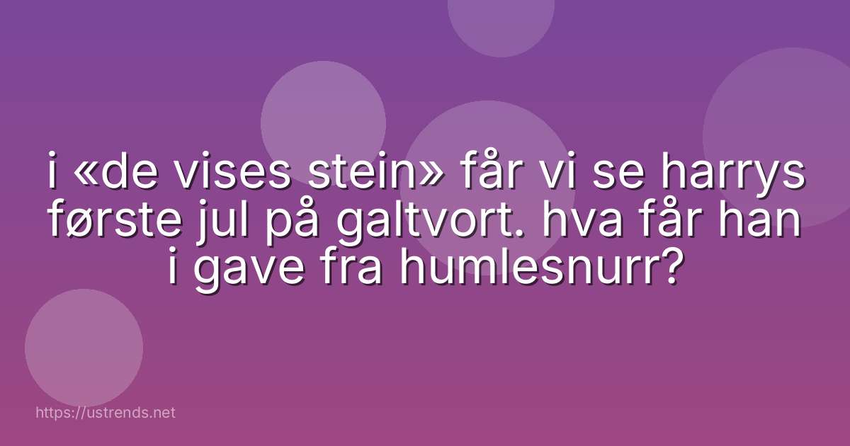 i «de vises stein» får vi se harrys første jul på galtvort. hva får han i gave fra humlesnurr?