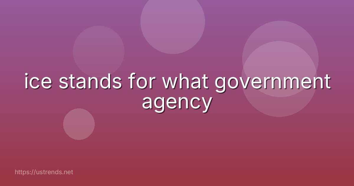 ice stands for what government agency