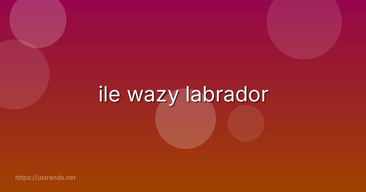 ile wazy labrador