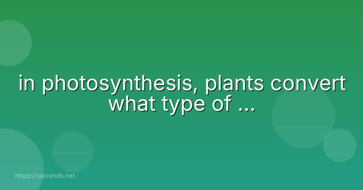 in photosynthesis, plants convert what type of ...