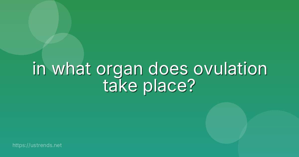 in what organ does ovulation take place?