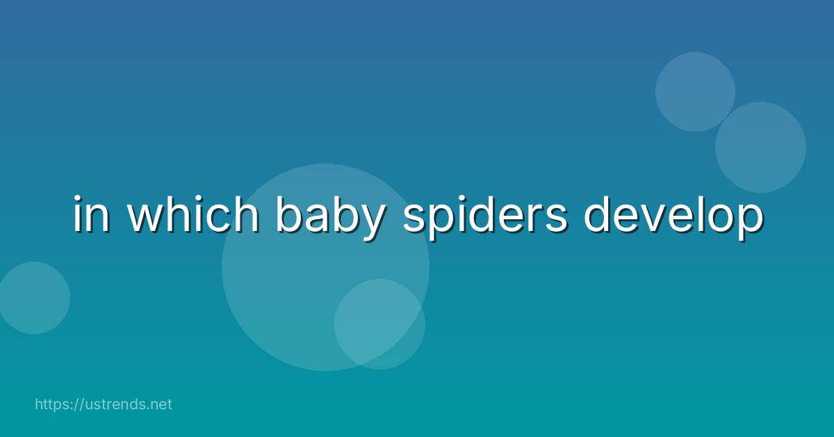 in which baby spiders develop